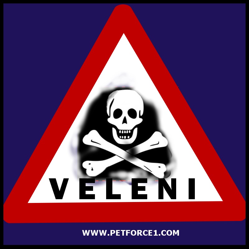 Allerta nel centro storico di Tivoli, avvelenati tre gatti nella notte