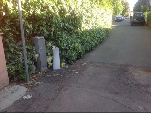 #Fotodenuncia, scatenati i villalbesi di “Se sei di Villalba”:buche e rifiuti in strada