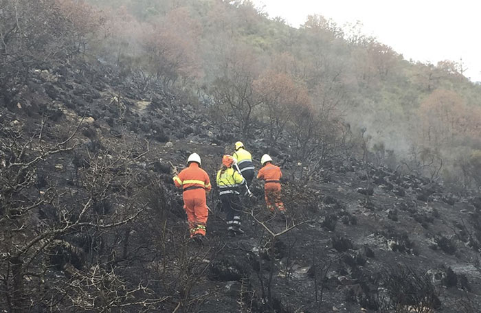 Incendio tra Tivoli e San Gregorio da Sassola, nuovo rogo in pieno inverno