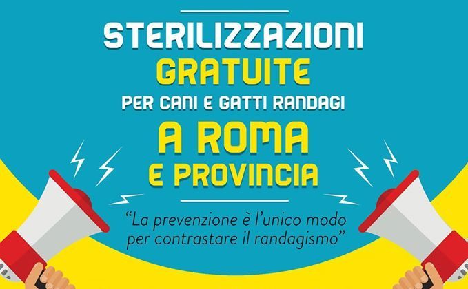 Sterilizzazioni gratuite a Roma e Provincia, campagna dell’associazione Alfa