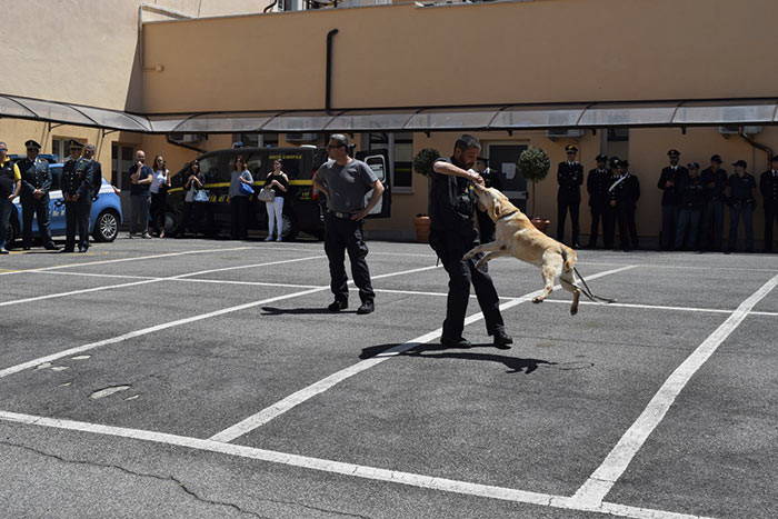 A scuola di legalità, lezione speciale in Tribunale per 200 studenti