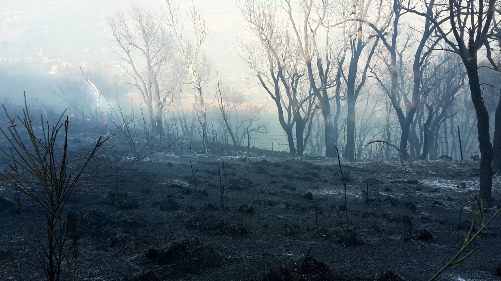Incendio Tivoli, le foto della montagna complita dalle fiamme
