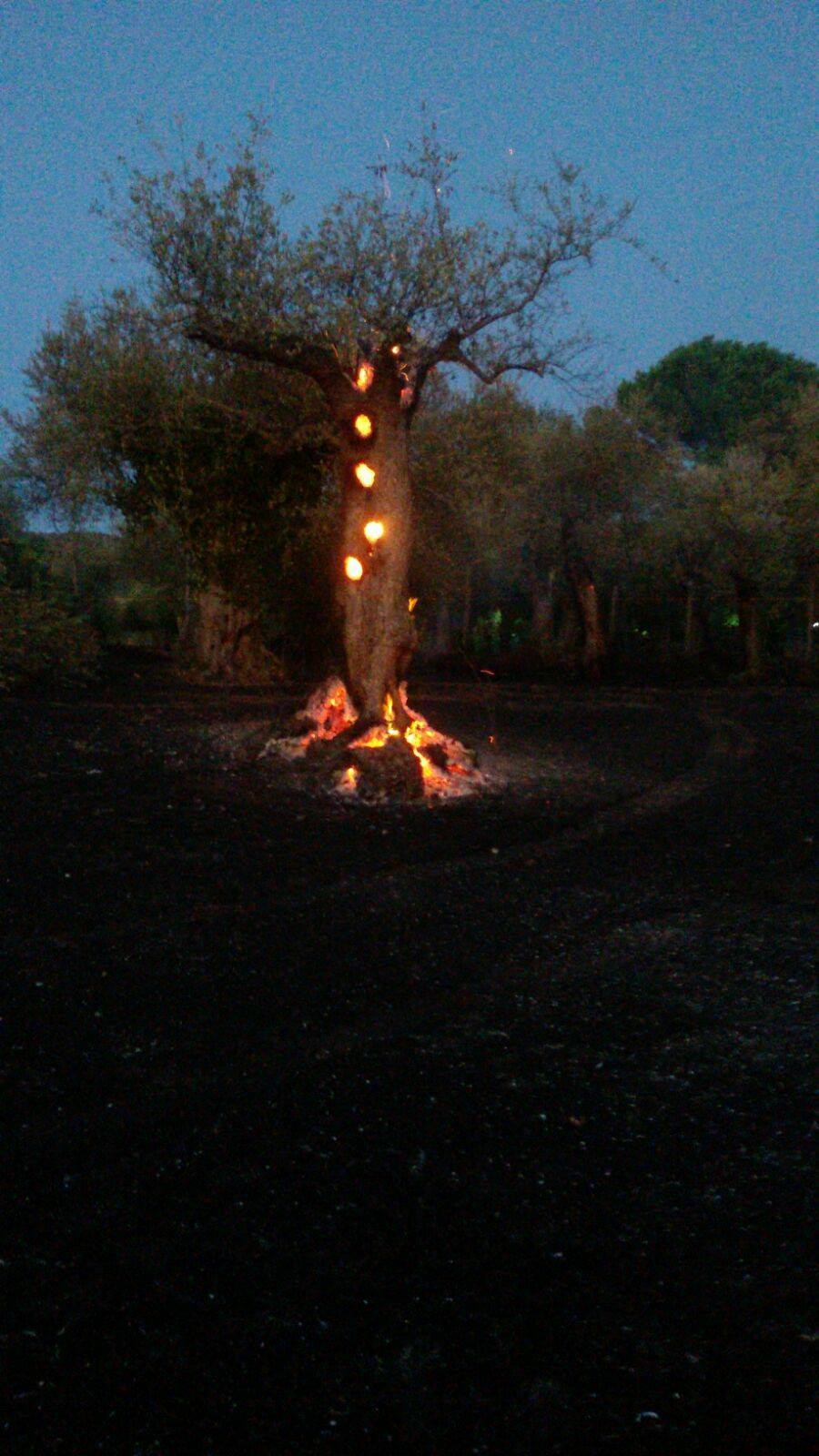 Incendio a Tivoli Colli di Santo Stefano
