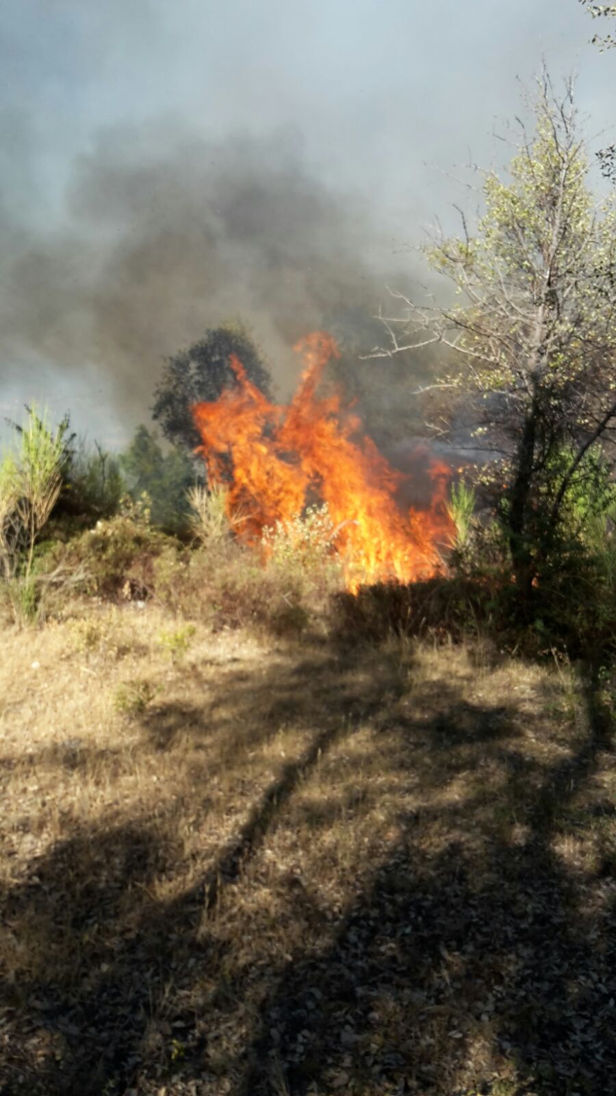 Incendio Tivoli, le foto della montagna complita dalle fiamme