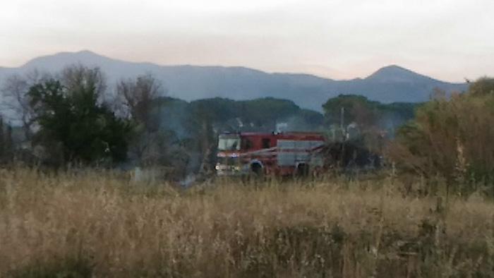 Nuova vita per il Bosco del Fauno, in arrivo tremila piante