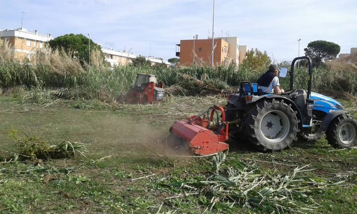 Bosco del Fauno, avviata riqualificazione e piantumazione di nuove piante