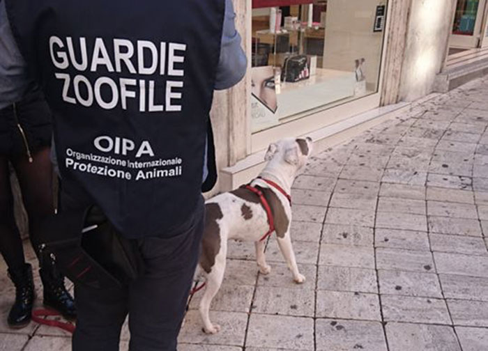 Controlli dei cani a Tivoli