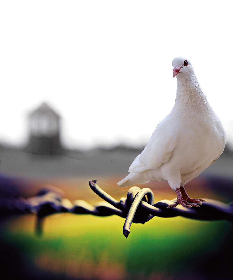 27 gennaio: Giornata della Memoria