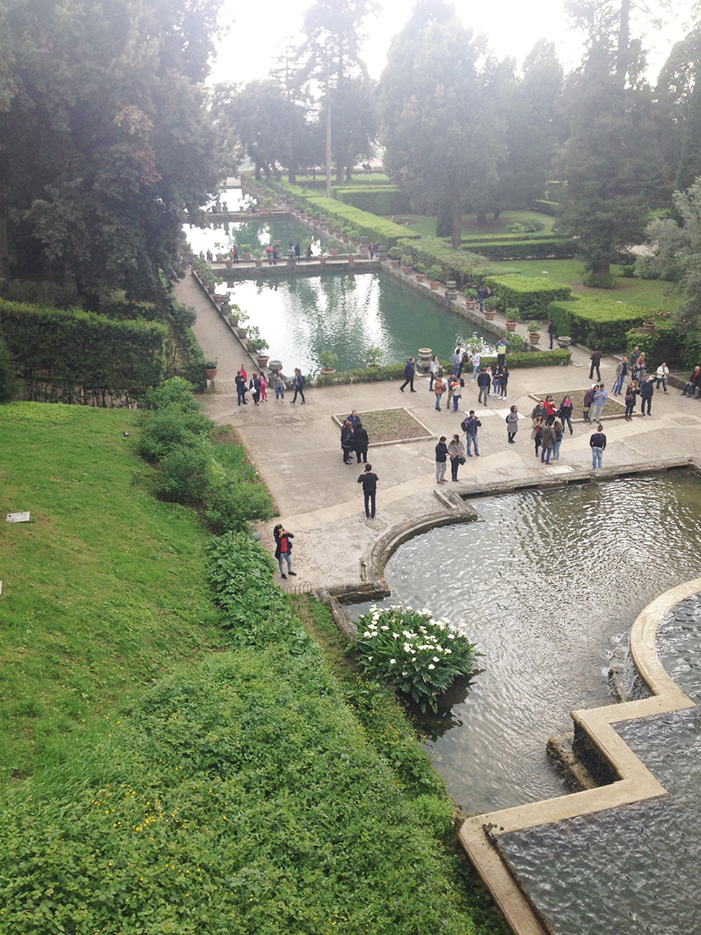 Villa d’Este: bando per affidamento del servizio bar caffetteria