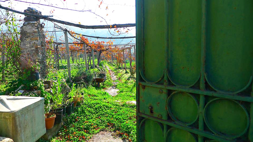 Tivoli: orti aperti per la festa di San Giovanni
