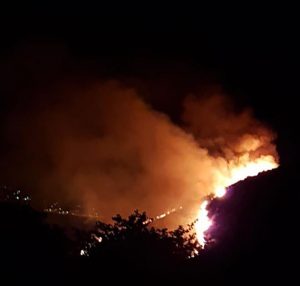 Incendio Poggio Cesi, foto Gos