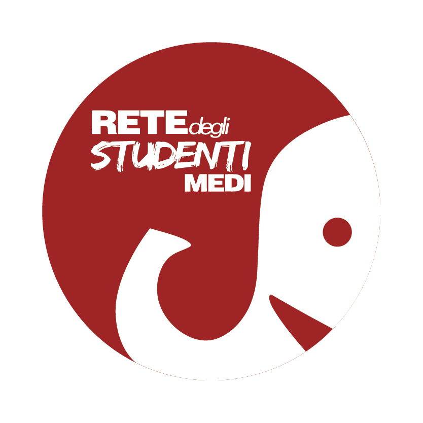 Consiglio comunale dei giovani, Rete degli Studenti Medi: “una delusione”