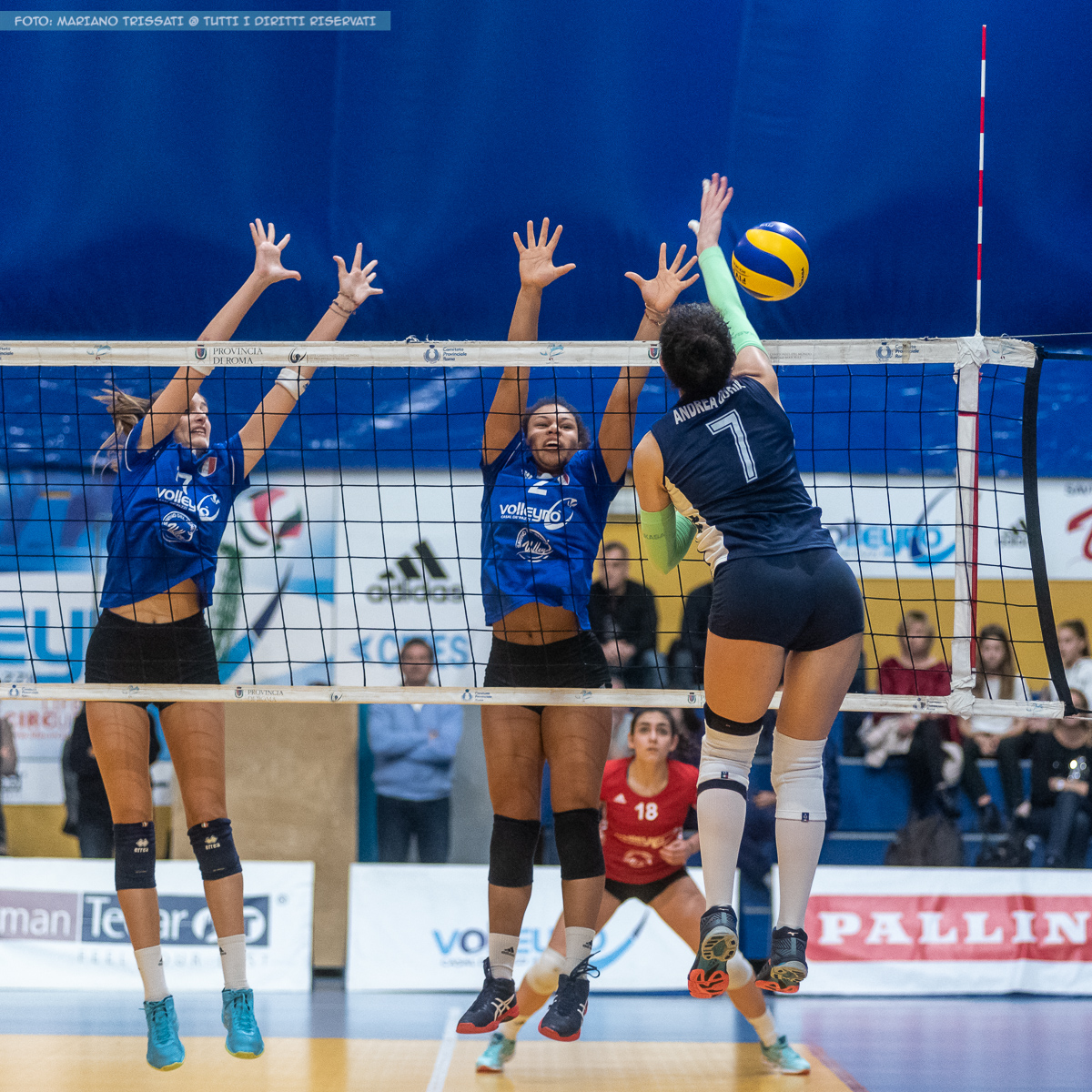 Pallavolo: l’Andrea Doria domenica prossima incontra la Virtus Roma