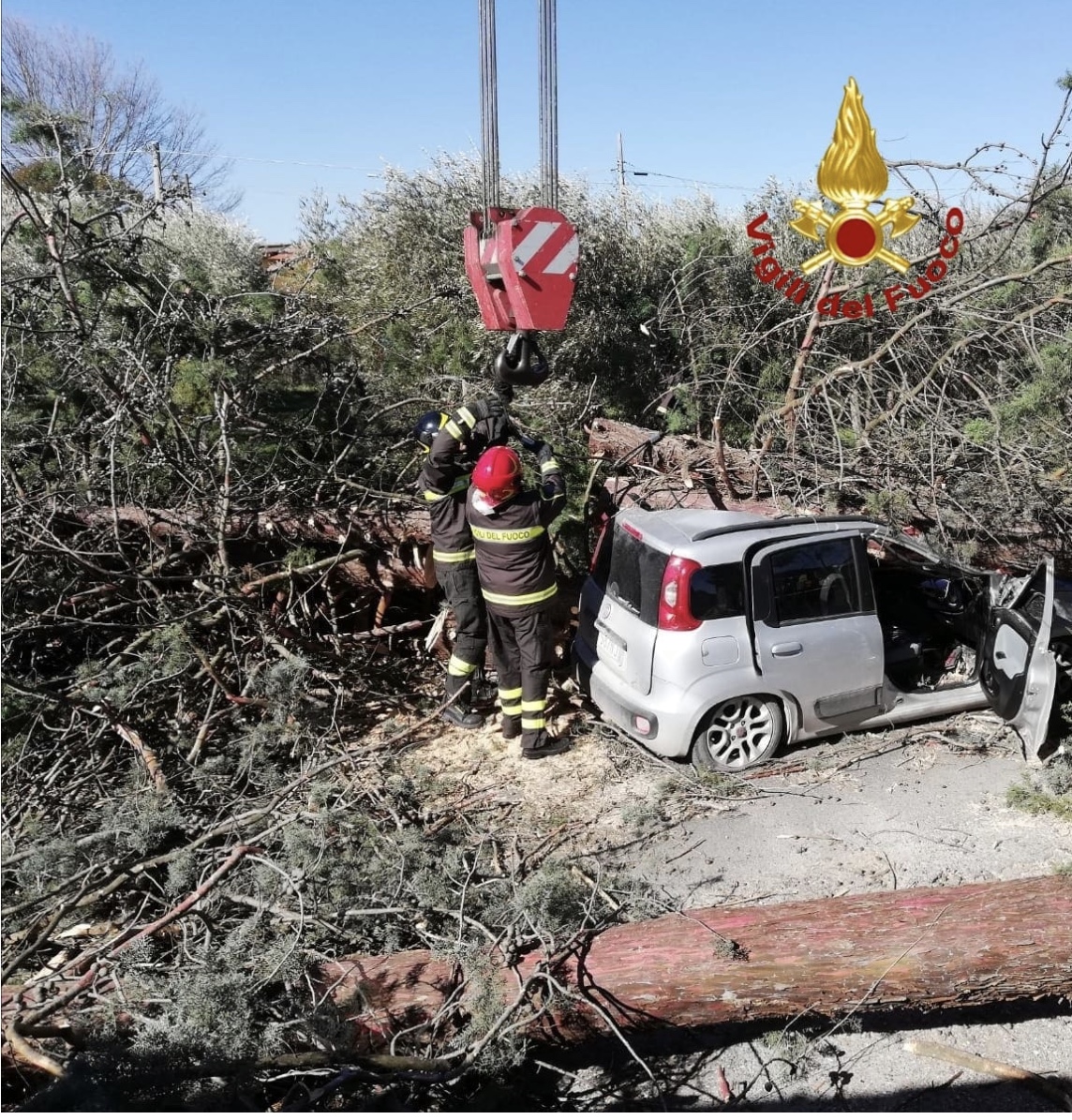 Guidonia: crolla albero e travolge vettura, morto automobilista