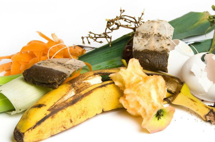 Guidonia: riprende la raccolta dell’umido