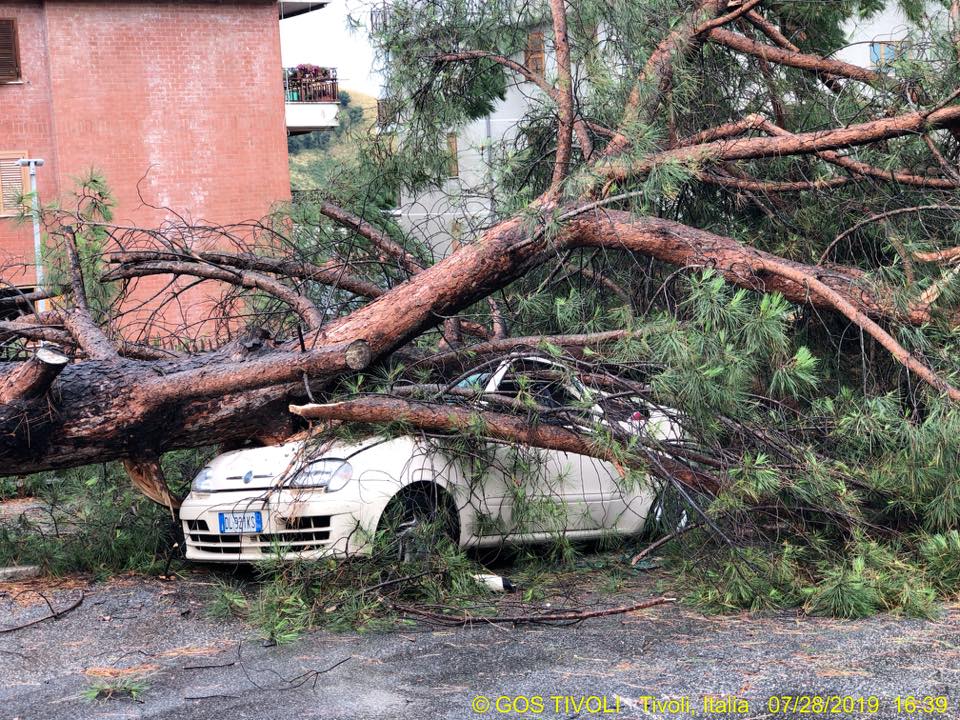 Maltempo nel nord est romano, il primo bilancio tra alberi crollati, frane, strade chiuse e case allagate