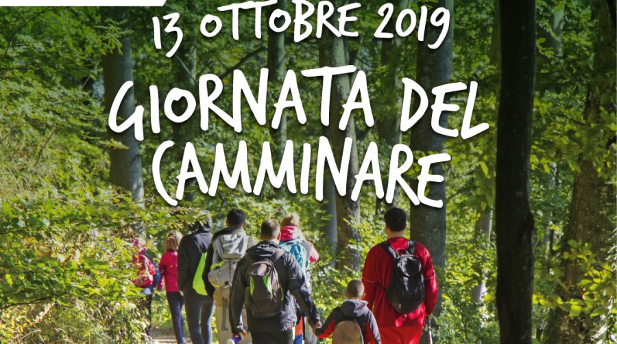 Domenica camminata tra natura e storia nel nostro territorio