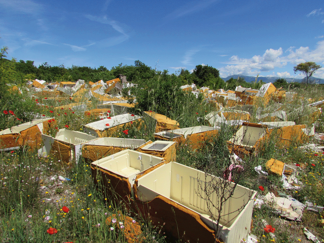 Ex Stacchini, urge bonifica e sviluppo zona