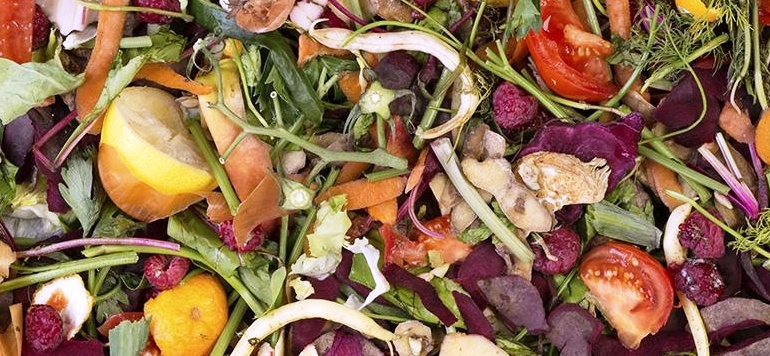 Guidonia, da domani riattivato il servizio della raccolta dell’umido