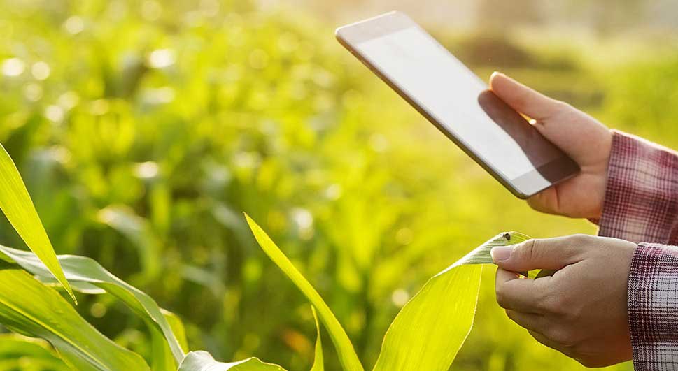Il nuovo corso di Tecnico agro-ambientale spiegato al Museo del Pizzutello dai docenti del Rosmini