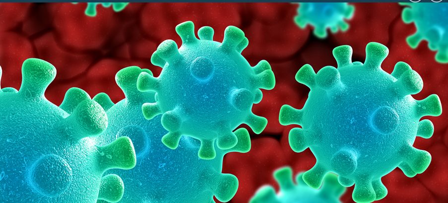 Si conferma il trend in discesa nel Lazio. 16 purtroppo i decessi e 169 i nuovi positivi, 32 i guariti