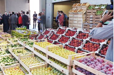 Il ministro Teresa Bellanova al Centro Agroalimentare di Guidonia