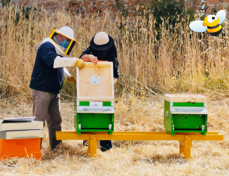 Apincittà a Villa Adriana: restauro ambientale e biomonitoraggio