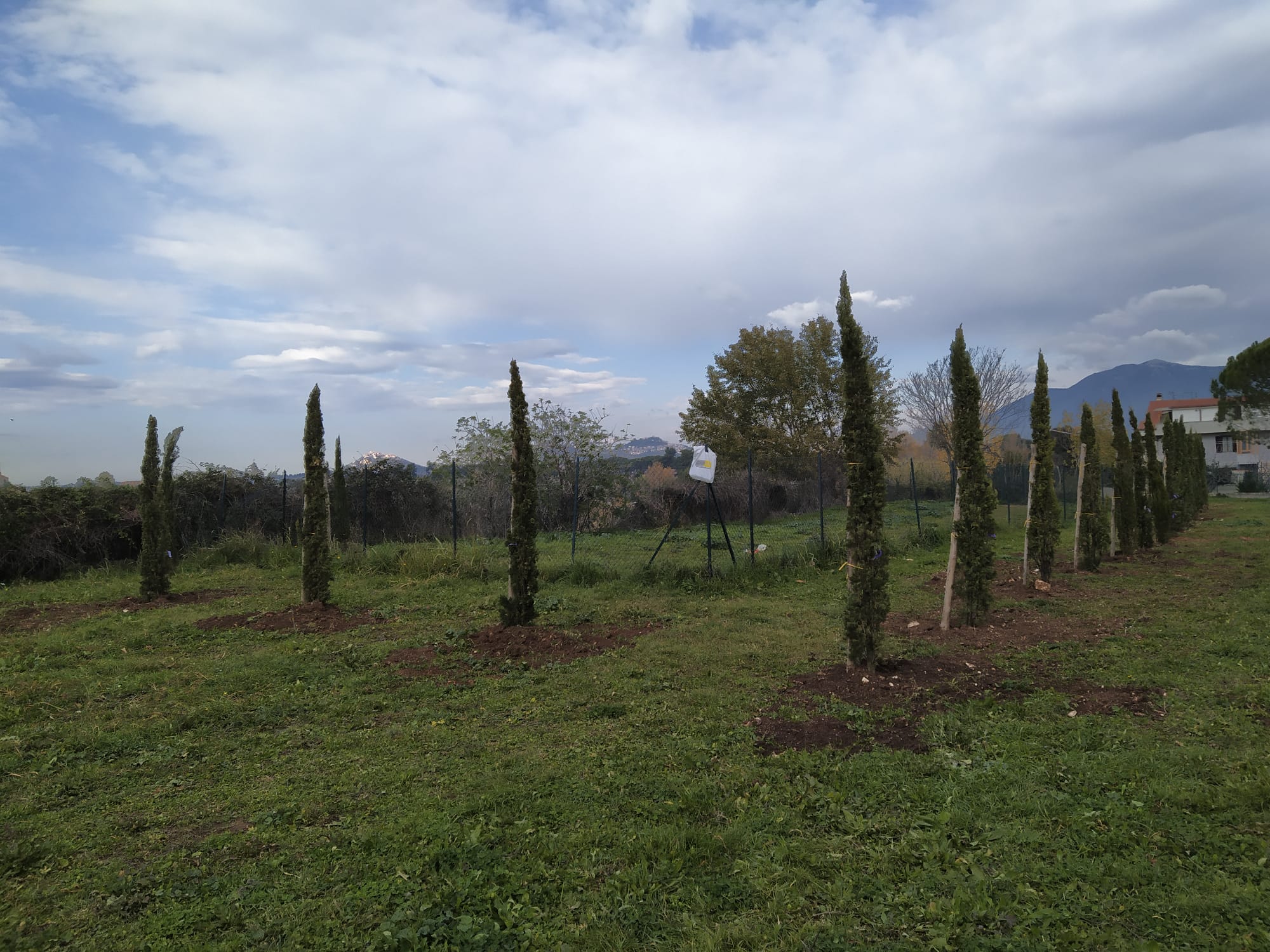 Guidonia: 62 nuovi alberi al parco di Valle Pilella