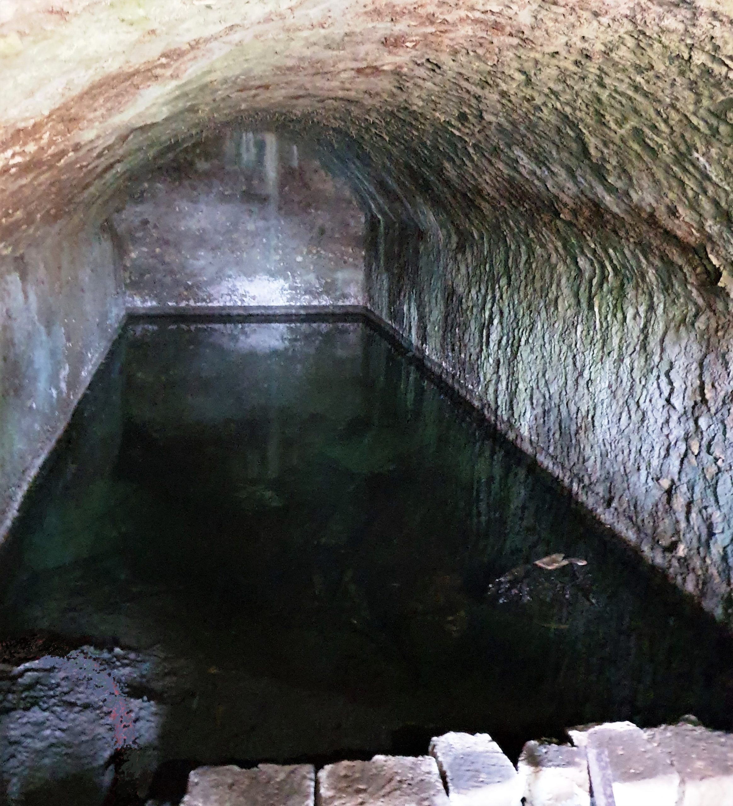 Tivoli: un nuovo sito archeologico  per attività didattiche per le scuole