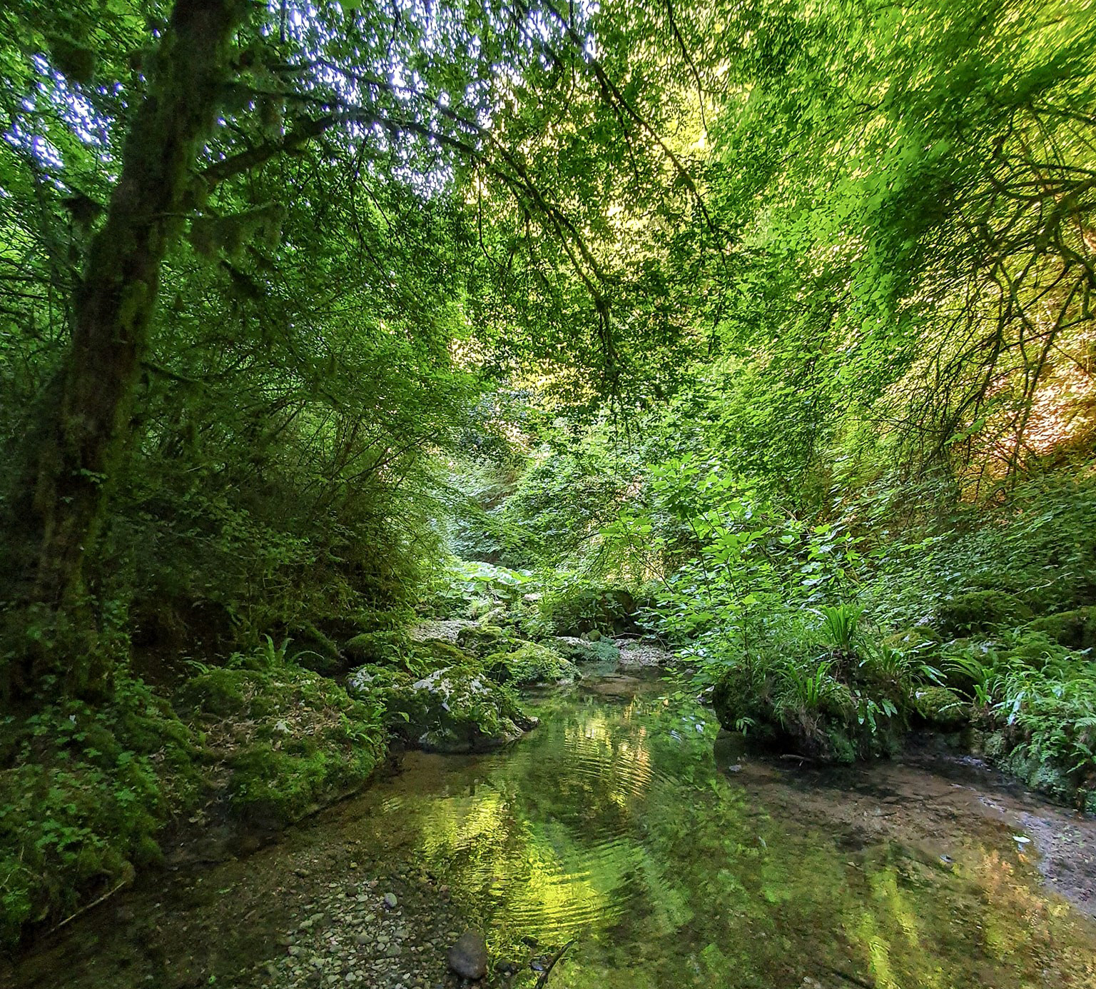 No alla discarica, sì alla riserva regionale: sindaci e associazioni pronti alla mobilitazione