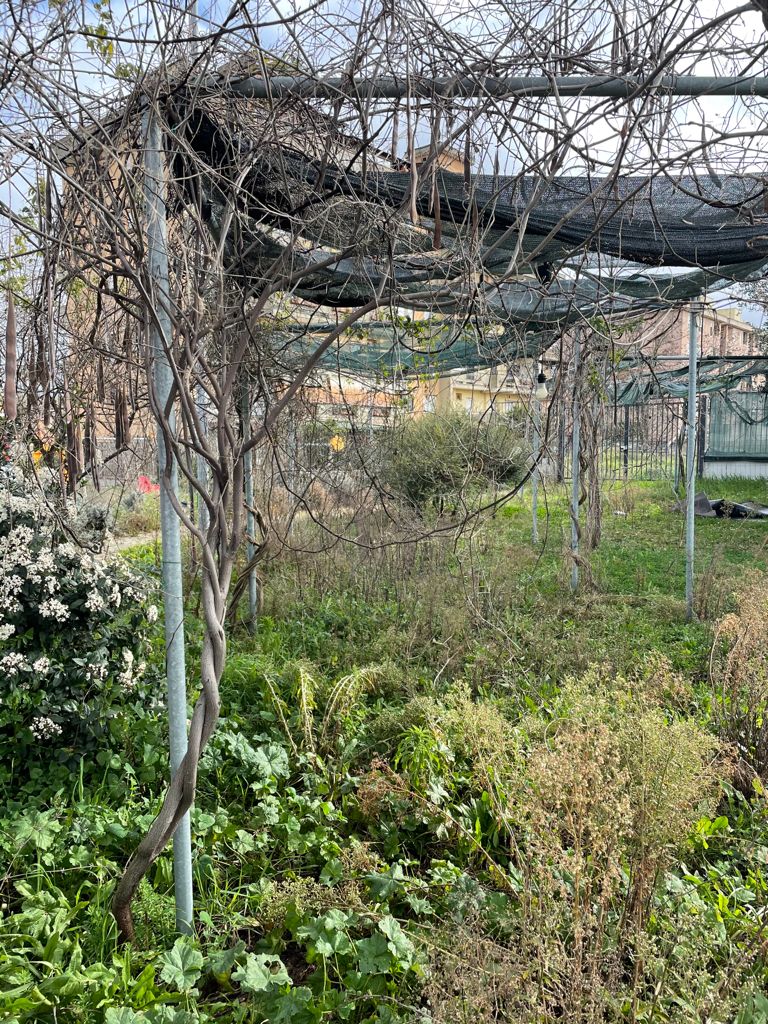 Collefiorito: il comune rientra in possesso del parco Oasi degli Angeli