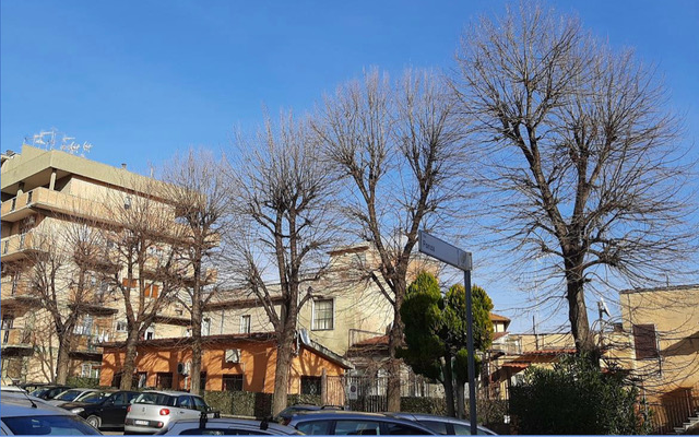 Monterotondo: continuano gli abbattimenti e le capitozzature delle alberature al centro