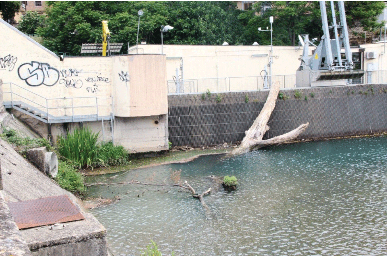 Fiume Aniene: quale futuro?