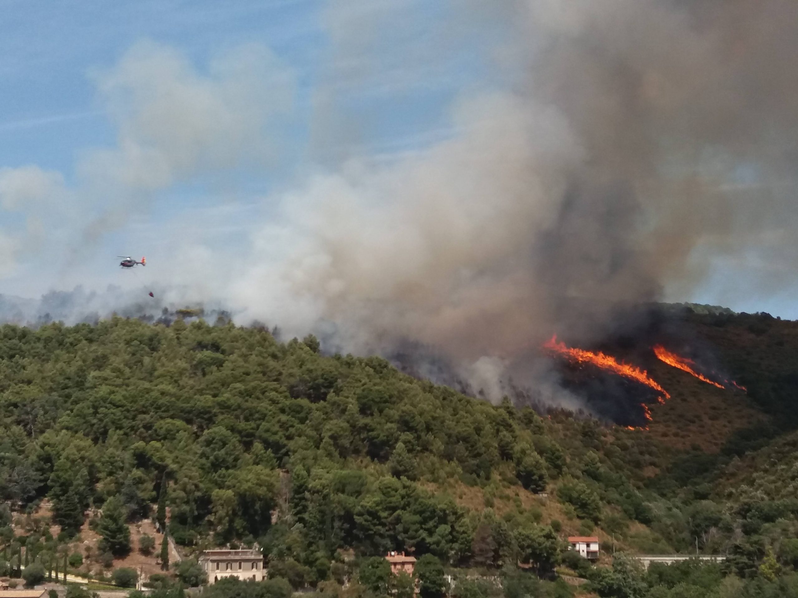 Tivoli, giorni di fuoco. Ancora brucia Monte Catillo