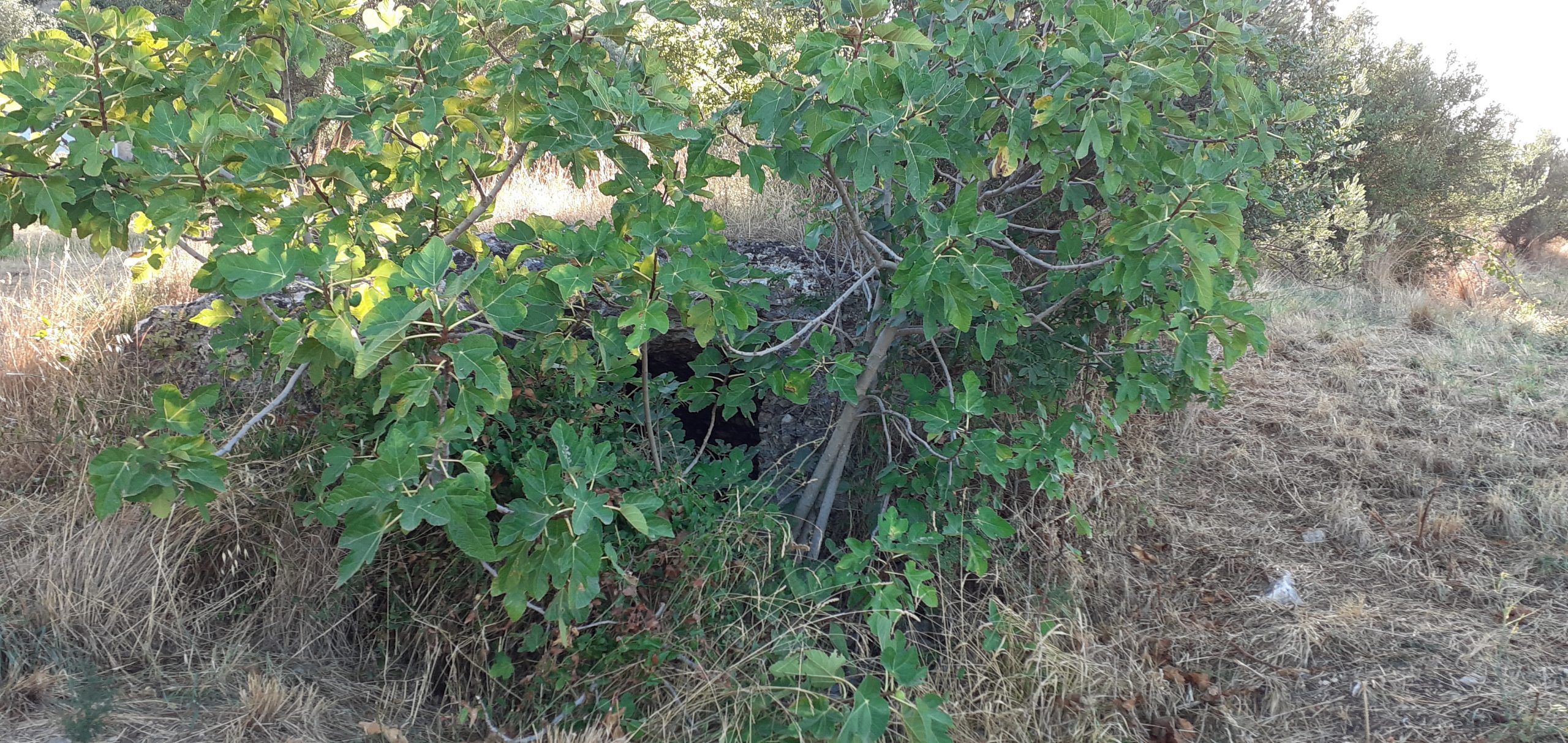 Torna “Puliamo il mondo” aderisce il Circolo Legambiente di Tivoli