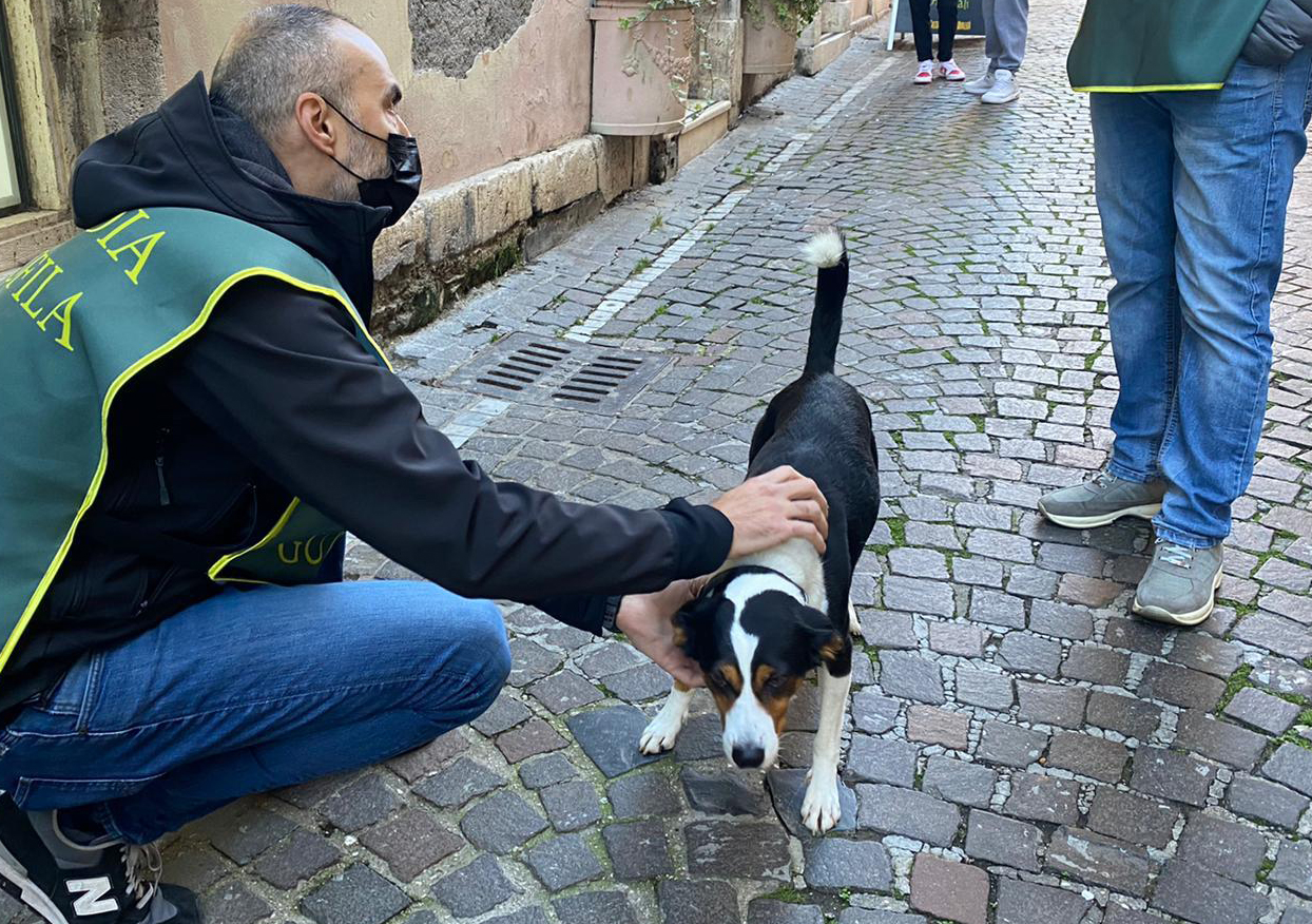 Le Pattuglie Zoofile della Accademia Kronos Valle dell’Aniene controlli a Tivoli