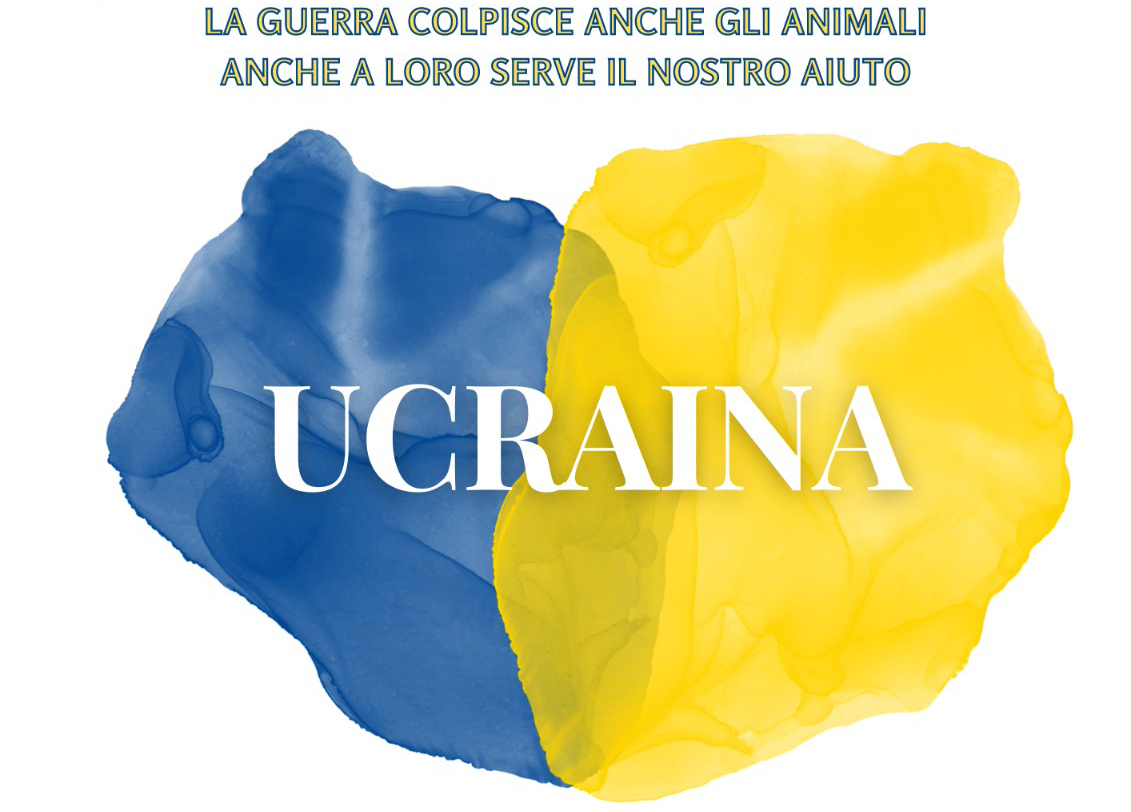 Tivoli al via raccolta per l’Ucraina di cibo e medicine per animali