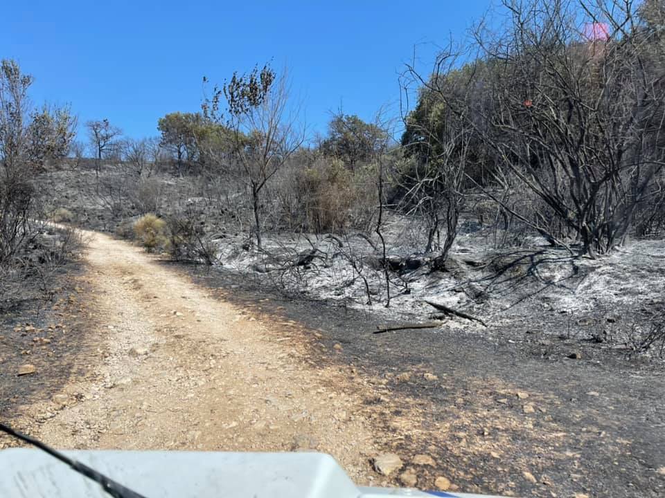 Città metropolitana: a Monte Catillo saranno attivate due termocamere