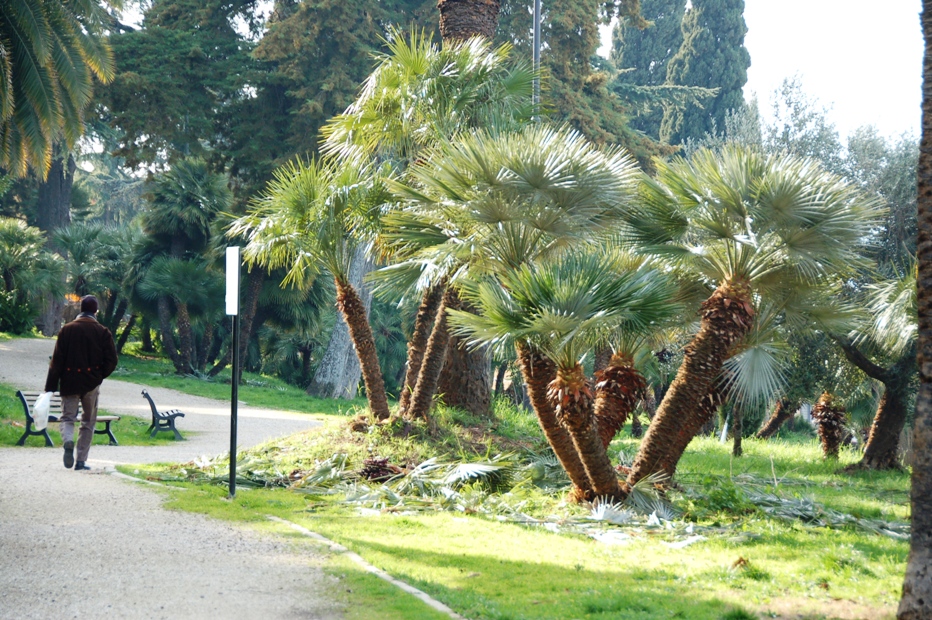 Villa Braschi: inserito nel “Progetto Sport nei parchi”