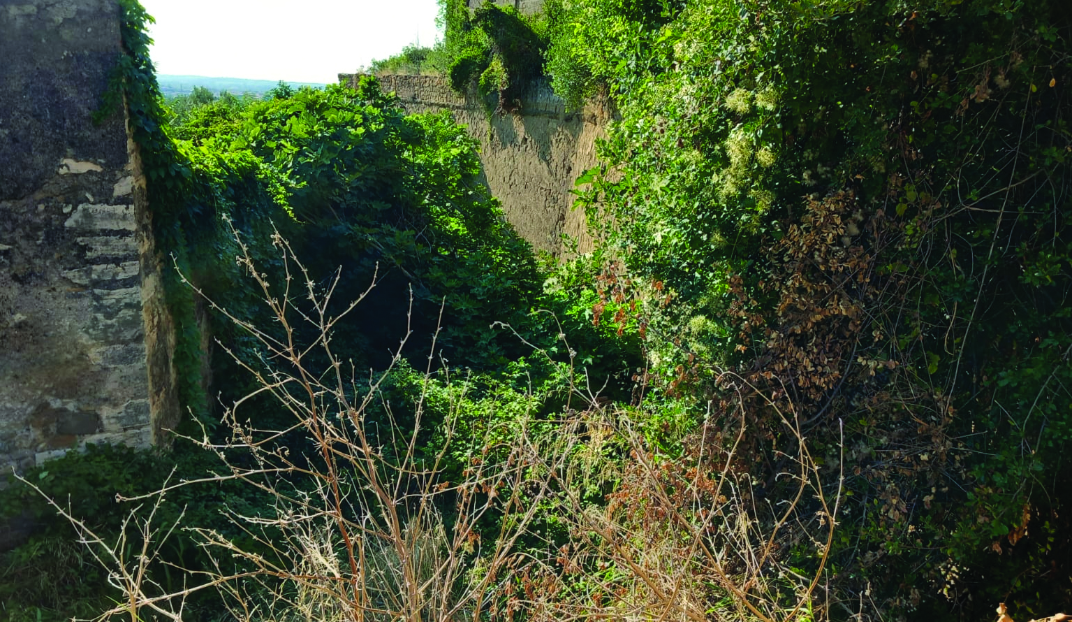 Puliamo il Mondo: le iniziative a Tivoli dal 22 al 24 settembre