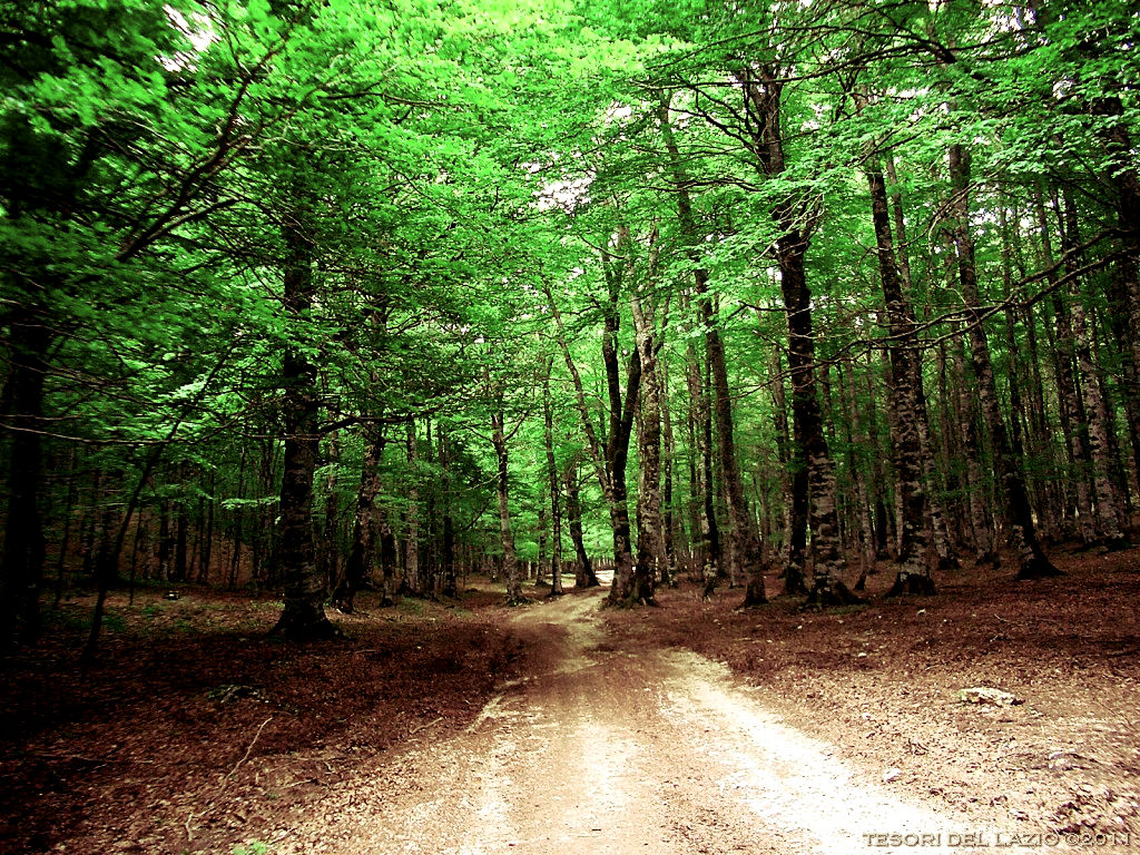 Parco dei Monti Simbruini: adotta un sentiero