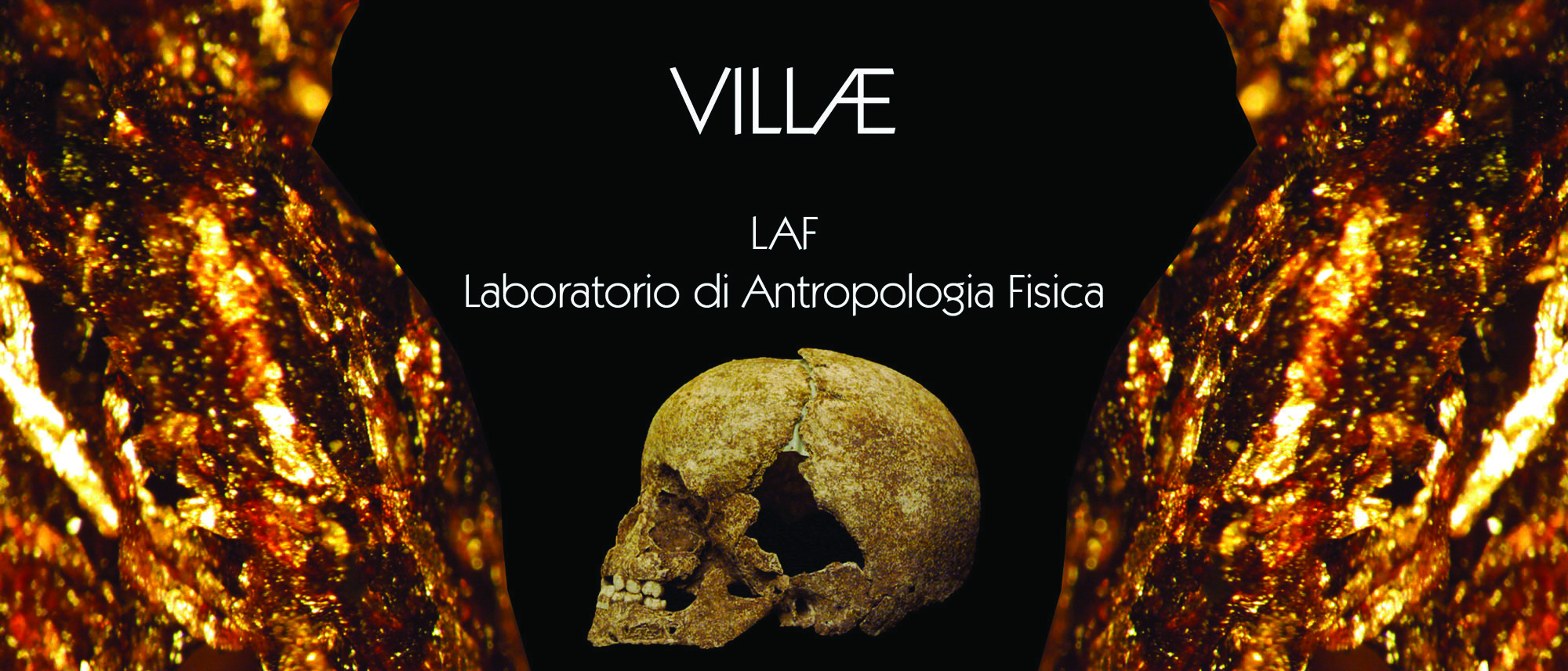 Il  Laboratorio di Antropologia Fisica – Labo delle VILLÆ apre al pubblico