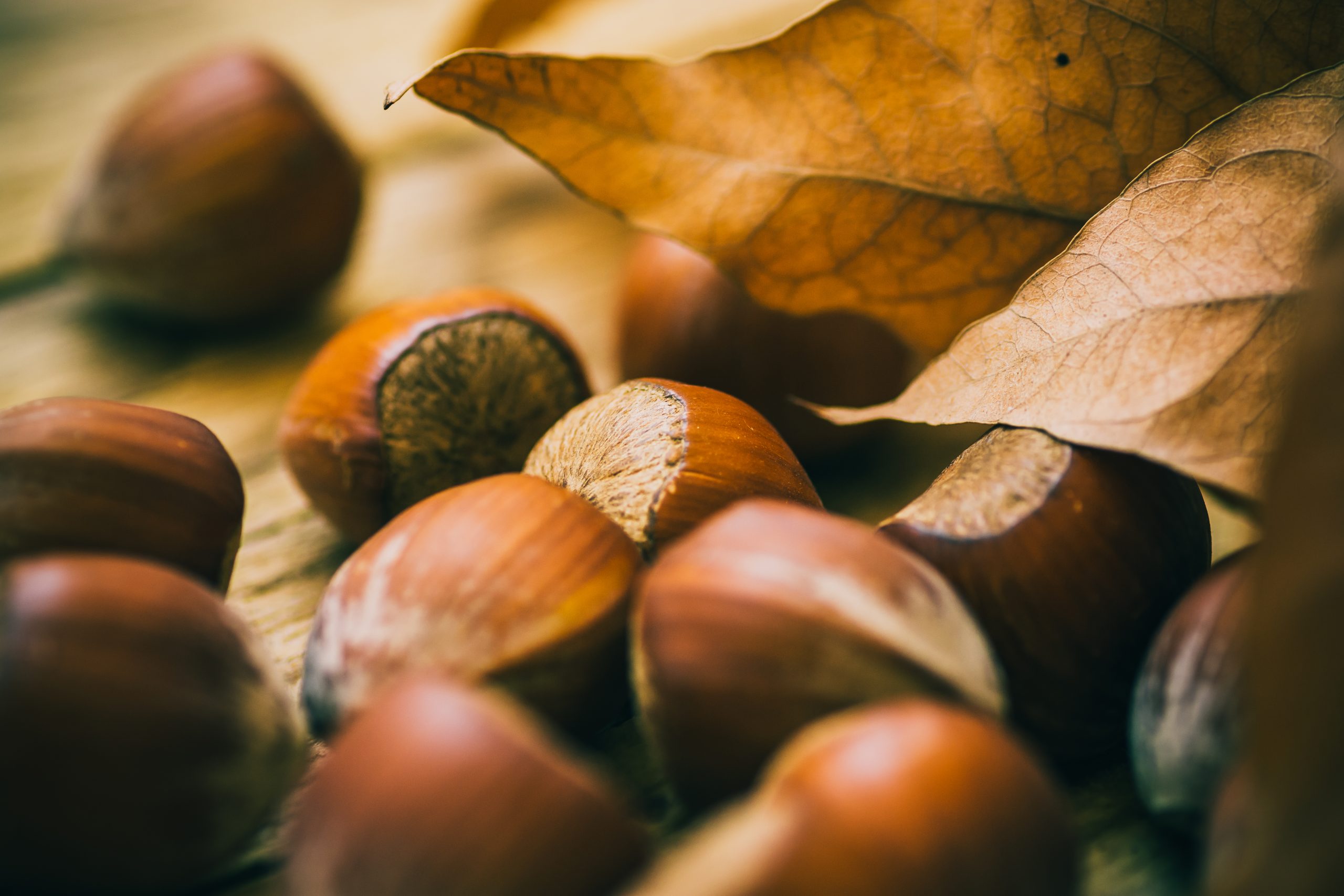 Riofreddo: il 1 e 3 novembre sagra delle castagne