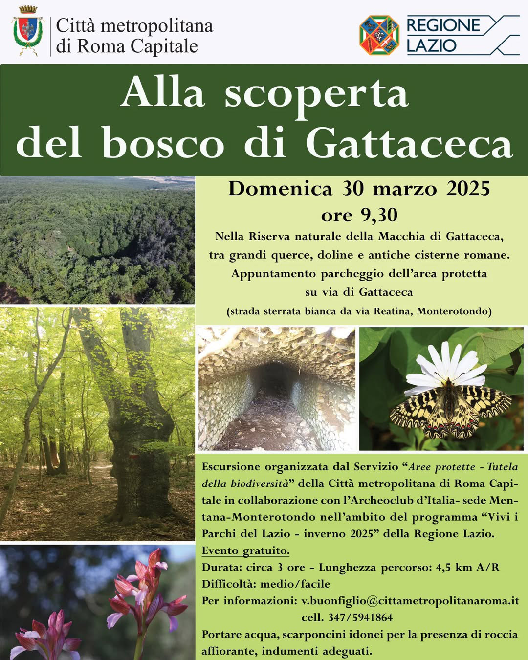 Alla scoperta del bosco di Gattaceca