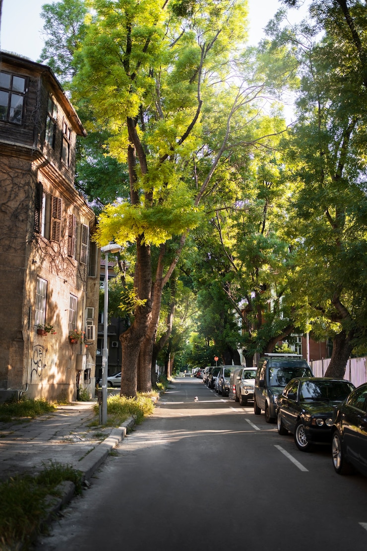 Tivoli: PSI propone Catasto del Verde per sicurezza e sostenibilità