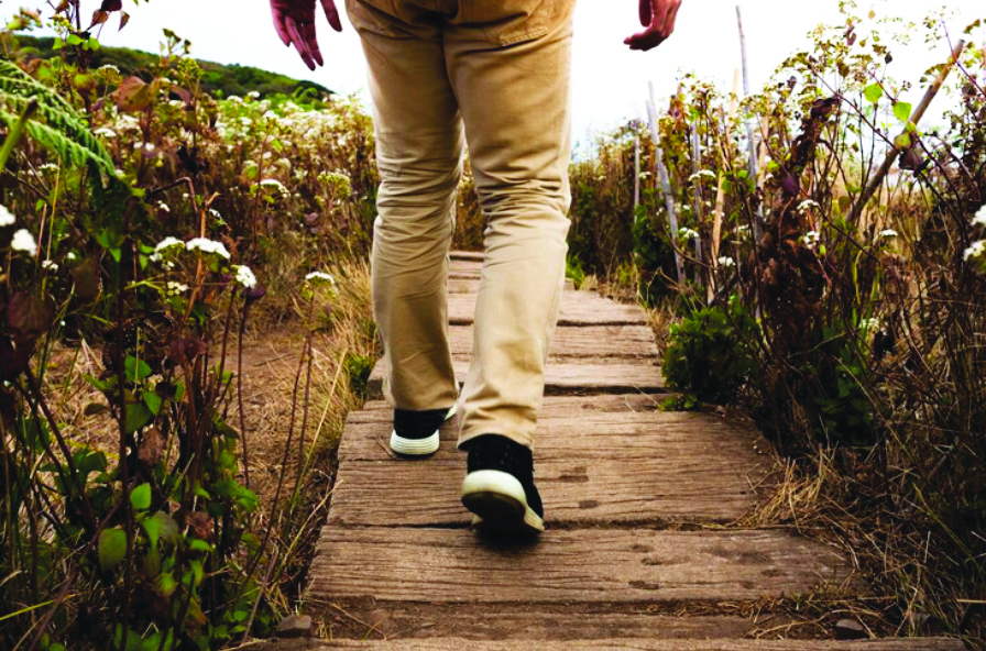 I Cammini come sviluppo del territorio