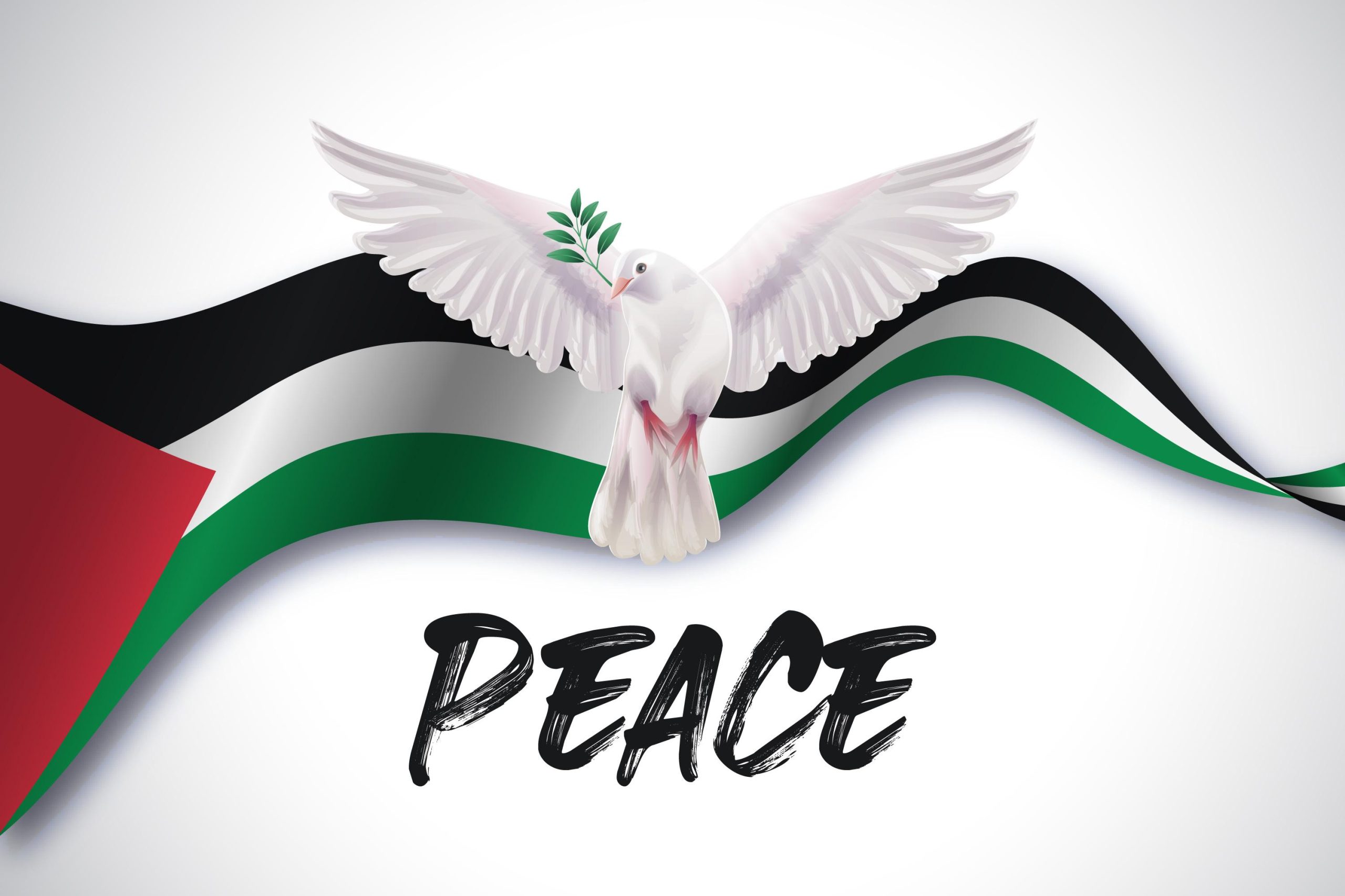 Appello di cittadini di Roma e Provincia per il riconoscimento della Palestina come Stato sovrano