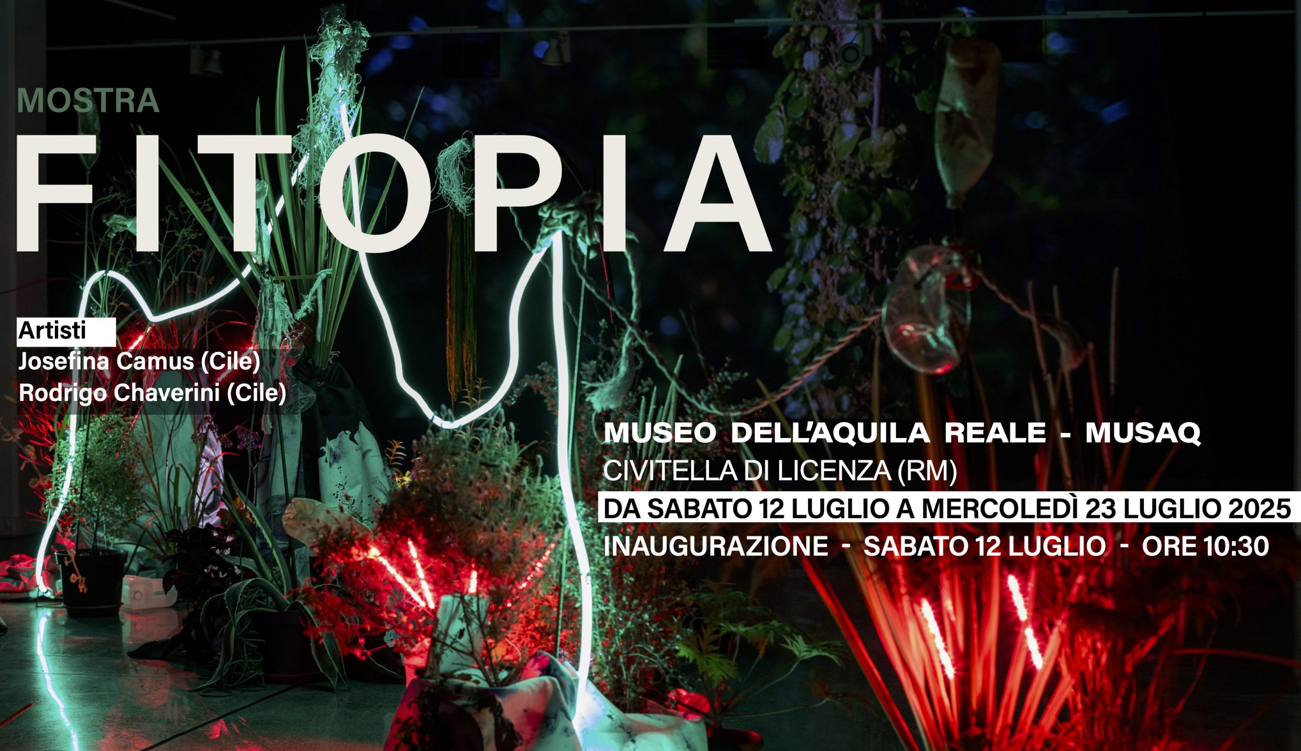 Licenza in ascolto: arte, natura e suoni dal Cile