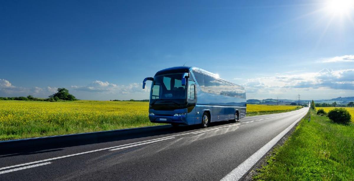 Lazio in tour gratis 2025: trasporto pubblico gratuito per i giovani tra 16 e 25 anni