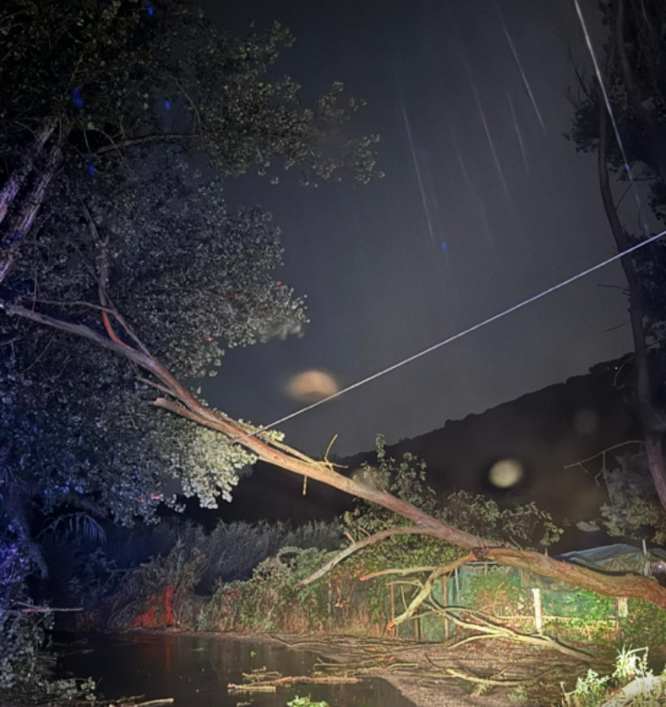 Maltempo nella notte, ma nessuna criticità rilevante: interventi a Guidonia